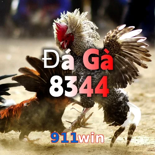 911win
